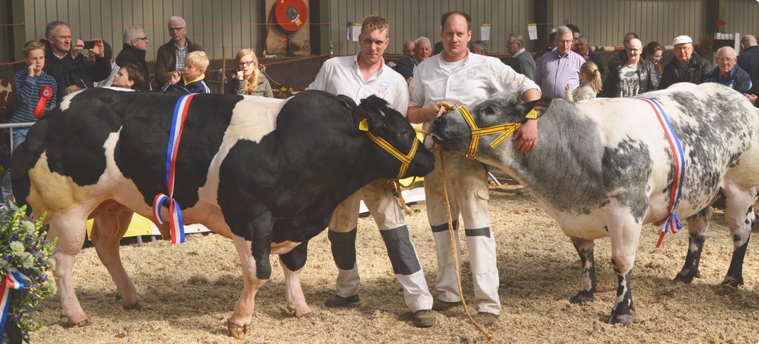 De inschrijving is open