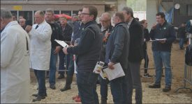 Keuringsringen krijgen naam en een groot aantal inschrijvingen