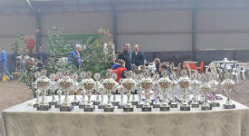 Eindelijk weer Paasvee Rhenen!